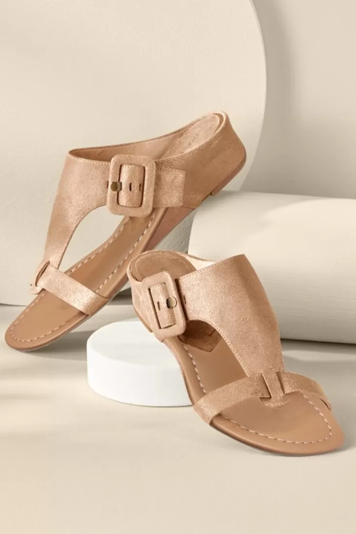 Soft Surroundings Donald Pliner Ofelia Wedge Slide