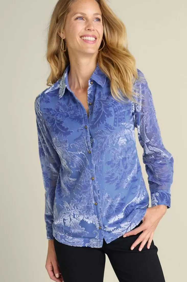 Soft Surroundings Floreat Velvet Shirt