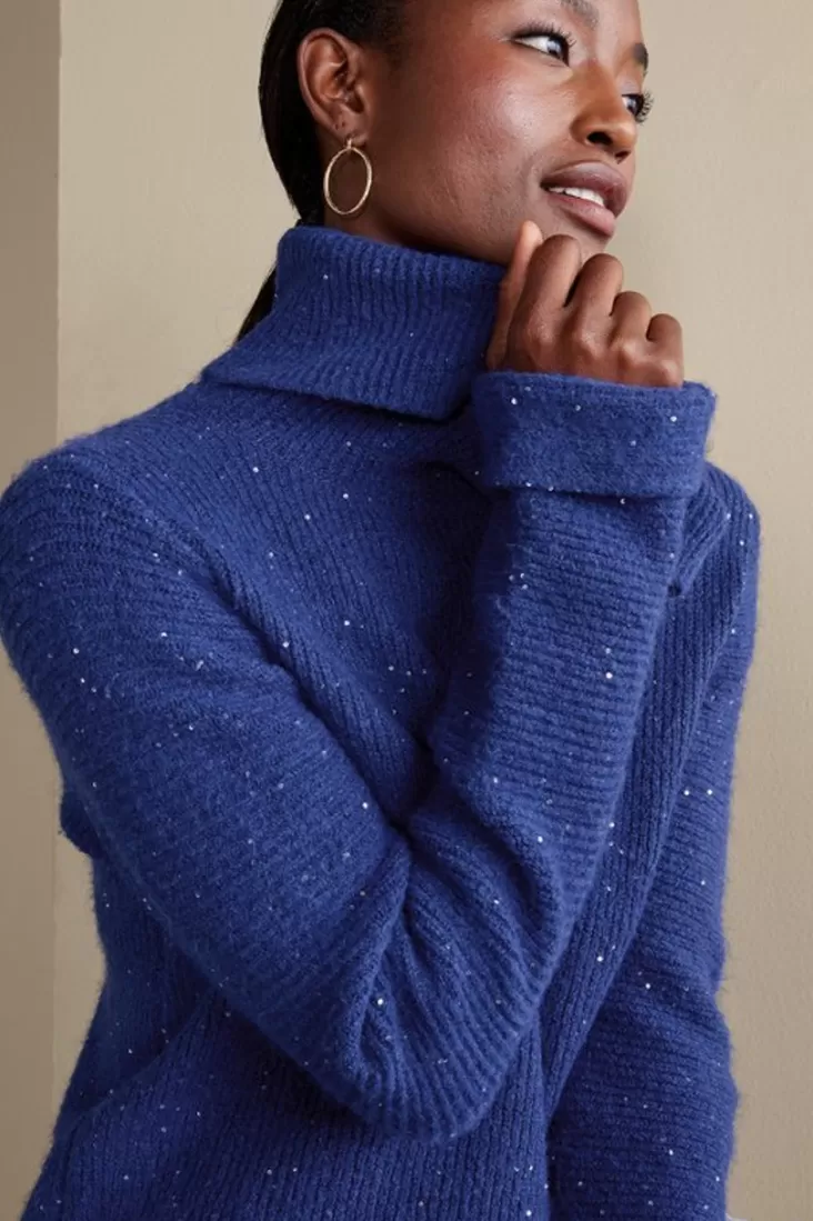 Soft Surroundings Linley Sequin Sweater