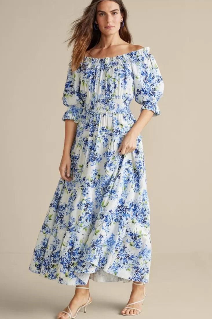 Soft Surroundings Rosana Maxi Dress